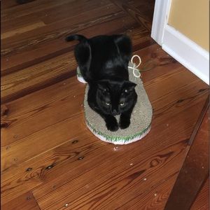 Meet your Posher, Lleslie